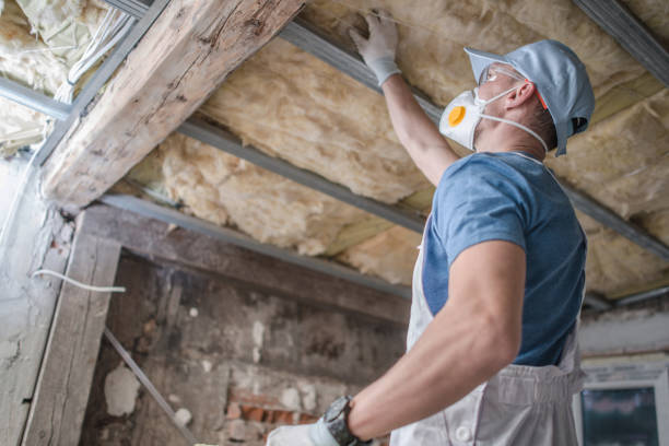 Best Insulation Maintenance and Repair in North Massapequa, NY